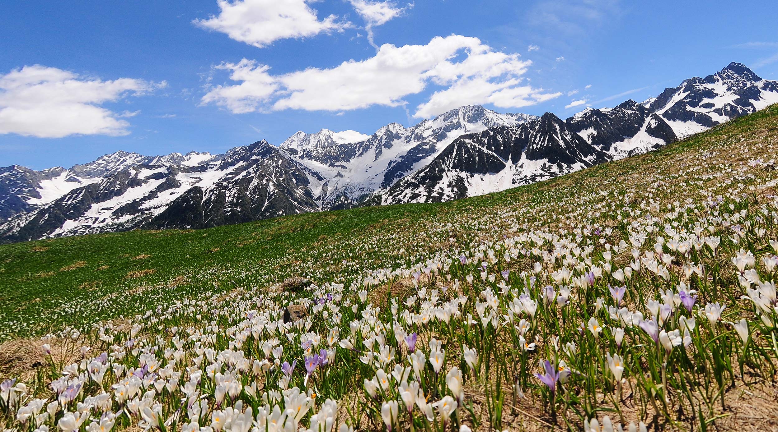 Primavera-Tonale-Ph-T.Mochen Primavera al Tonale