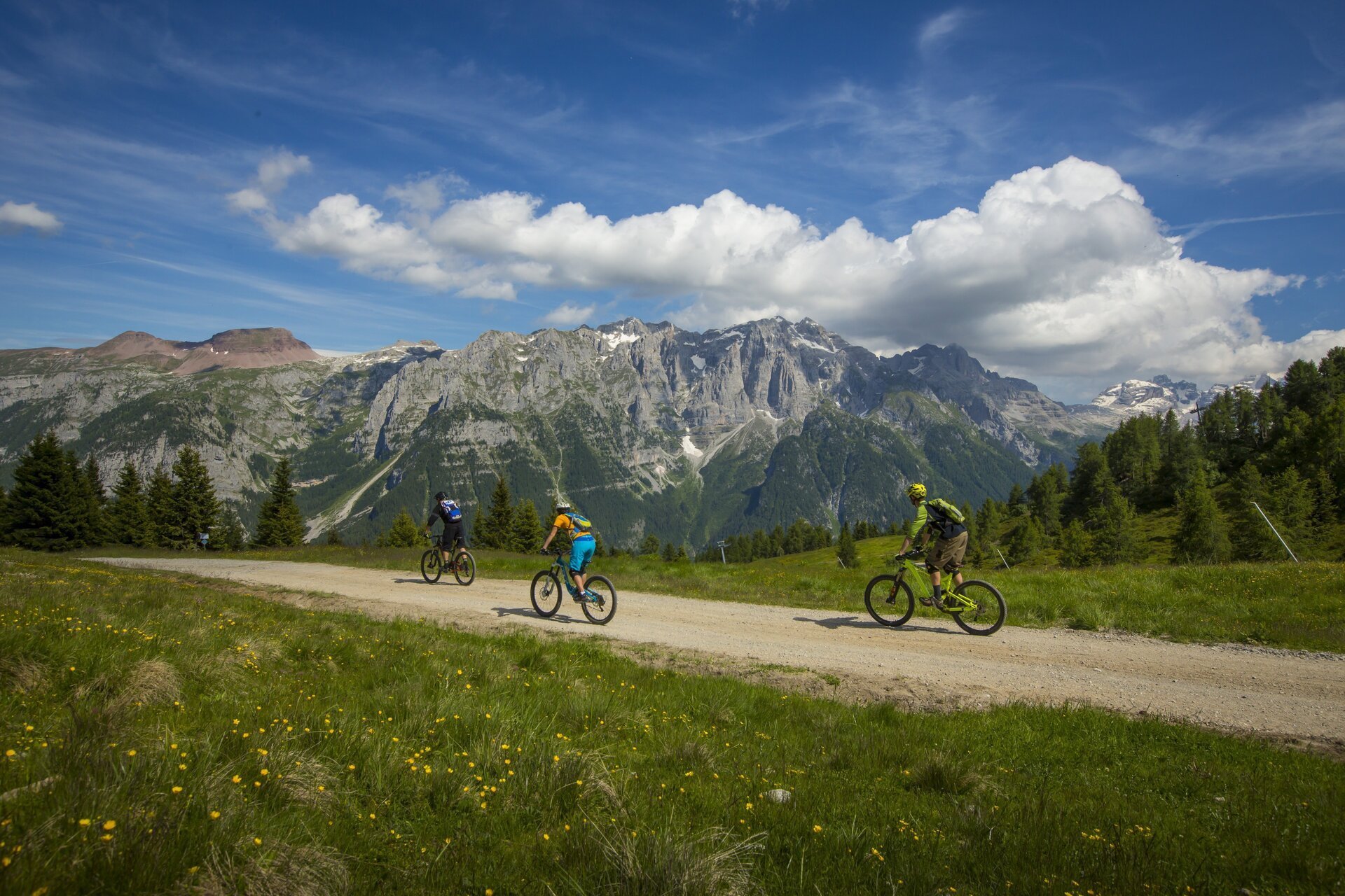 Mountain Bike in Val di Sole MBT in Val di Sole, Trentino