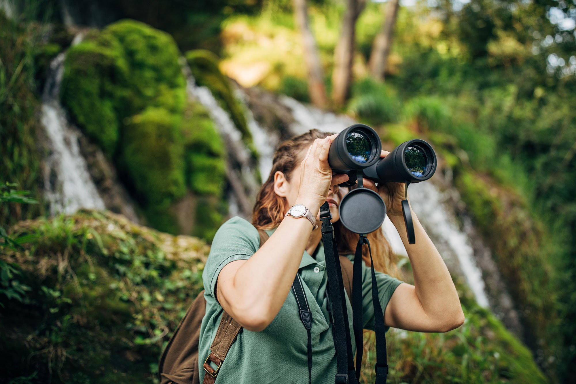 Wildlife watching nel Parco Nazionale dello Stelvio Osserva gli animali selvatici in ambiente naturale