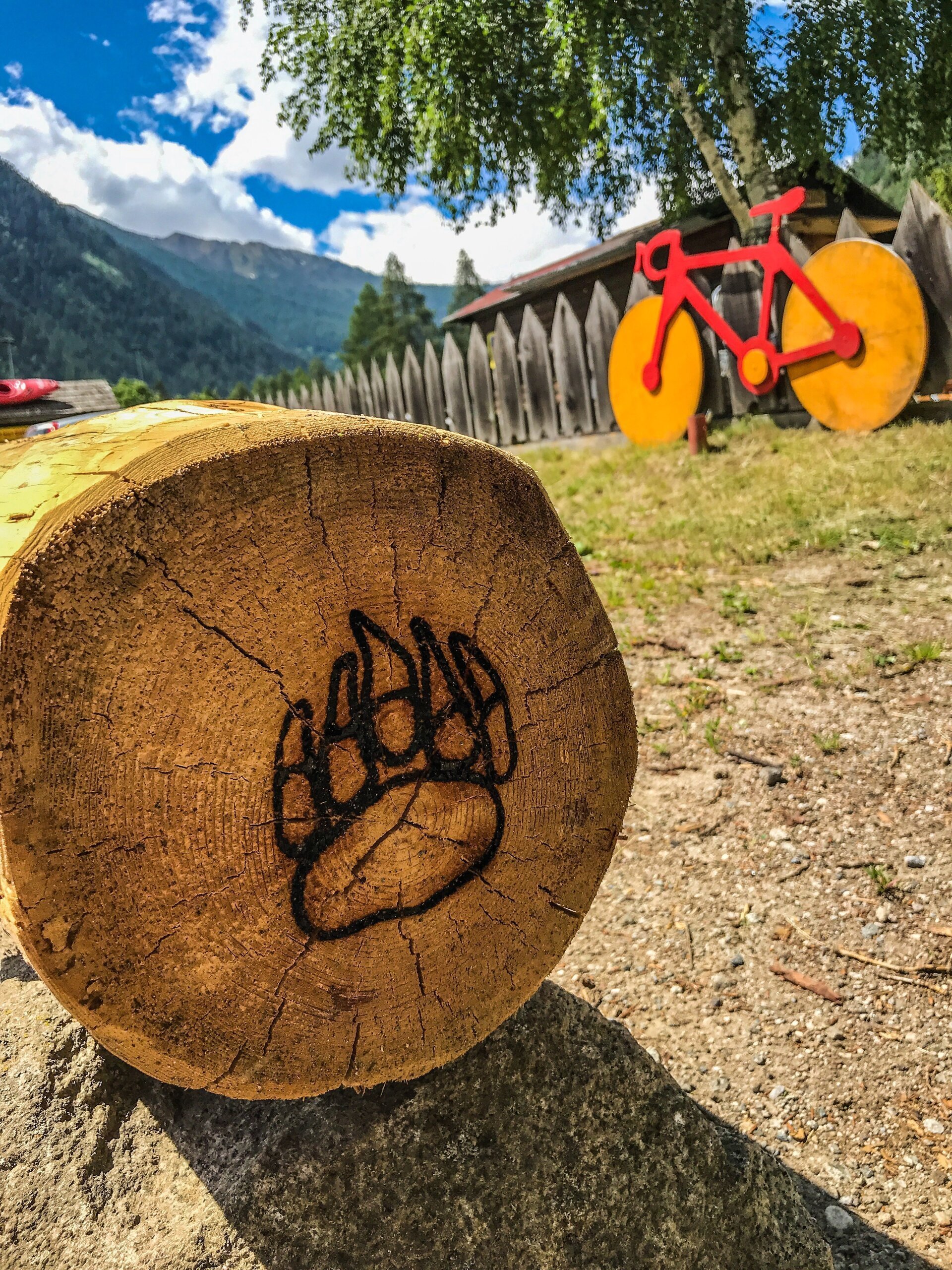Ursus Adventures - l'impronta dell'orso Ursus Adventures - l'impronta dell'orso