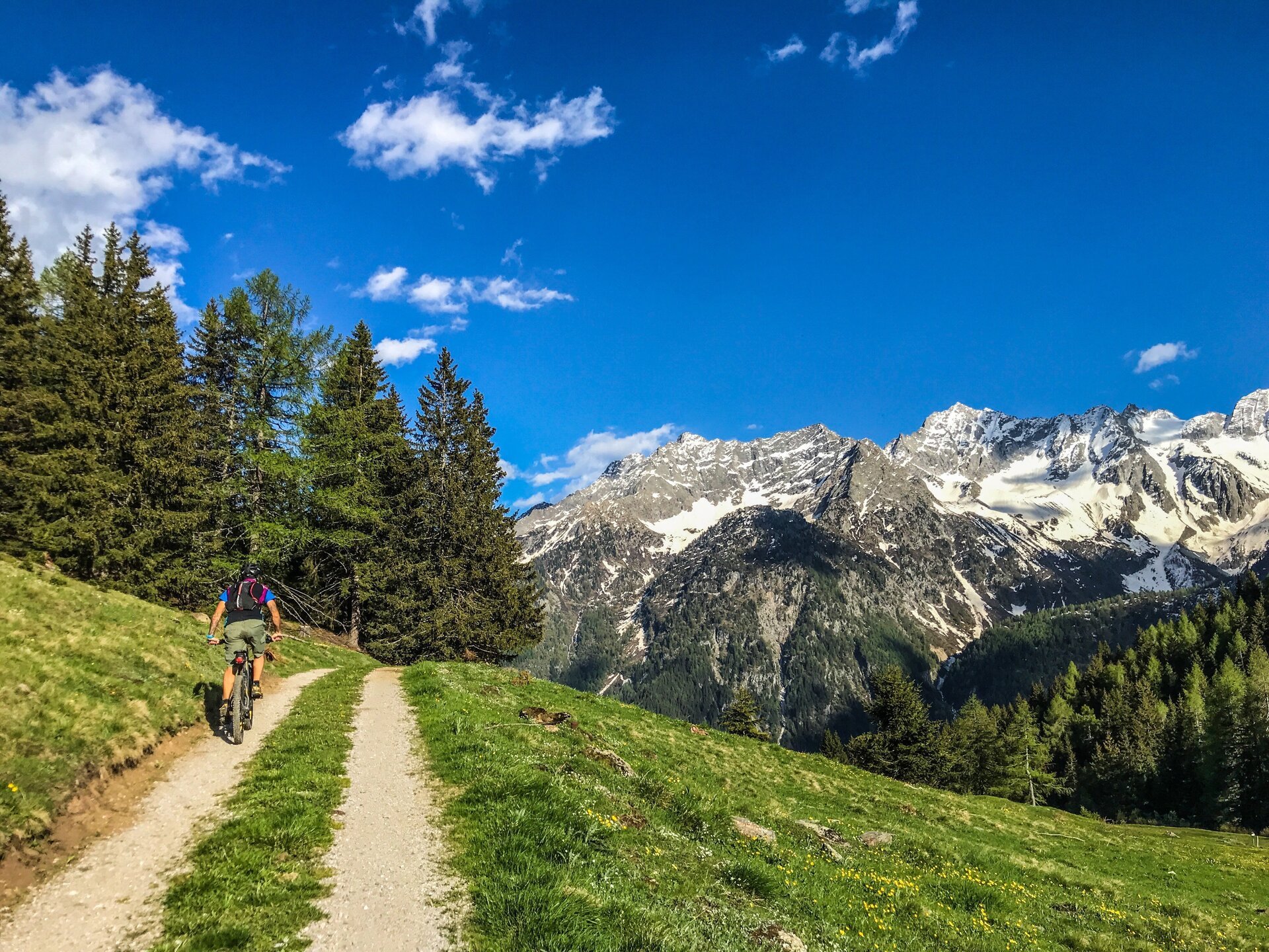 mountain-bike-val-di-sole-natura