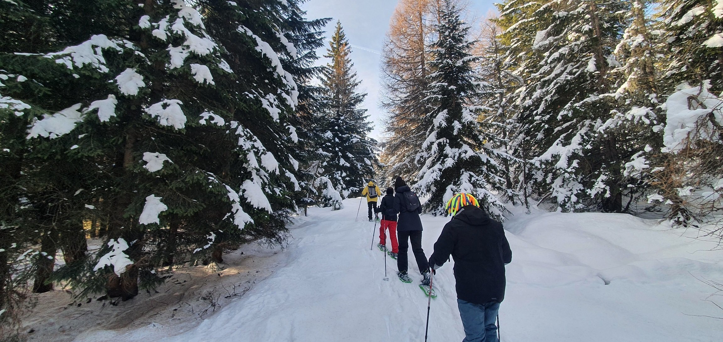 Passeggiate nella neve in Trentino Passeggiate nella neve in Trentino