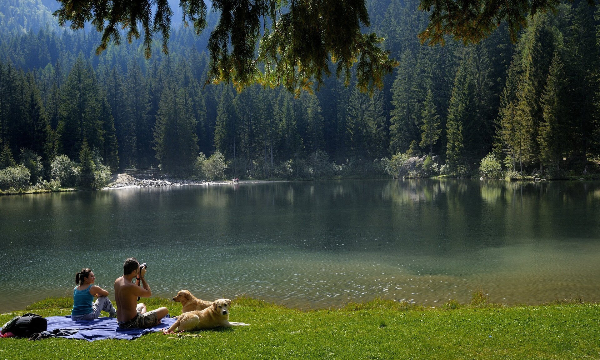 Lago dei Caprioli PellizzanoPh A.Vigarani