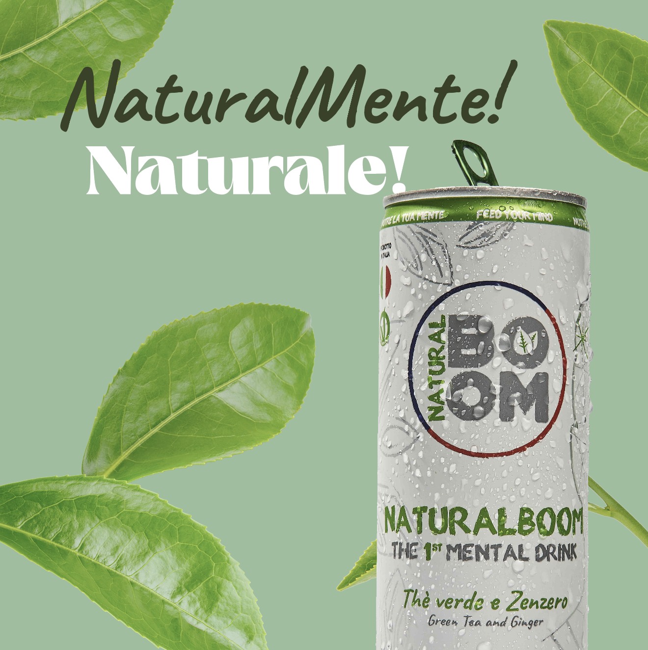 NaturalmenteNaturaleNaturalBoom NaturalmenteNaturaleNaturalBoom