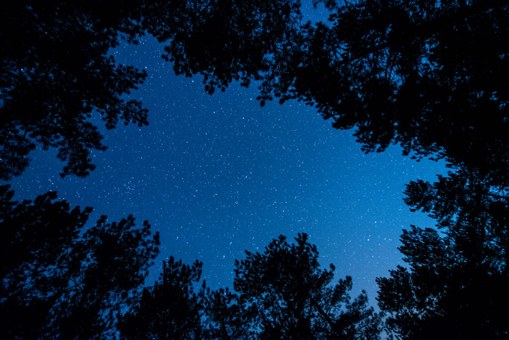 Trekking Notturno Escursioni Notturne Val Di Sole Trentino