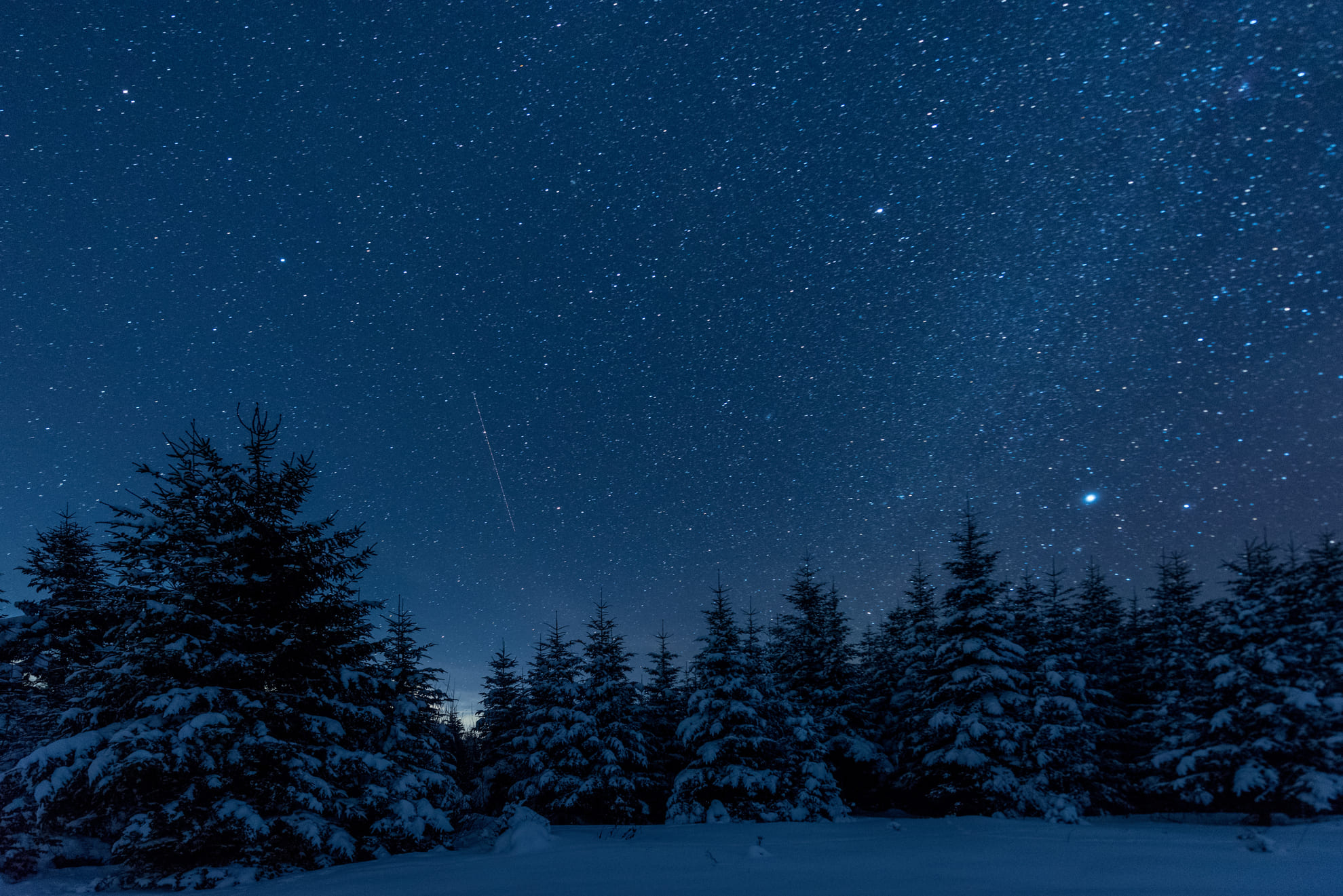escursioni notturne val di sole trentino